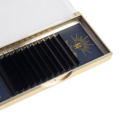 Divine Power- Mix Trays